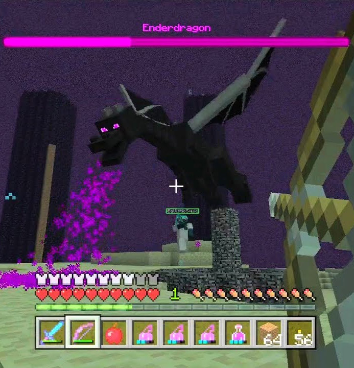 Ender Dragon Set