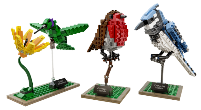 LEGO 21301 Birds Set Bluejay Hummingbird Robin