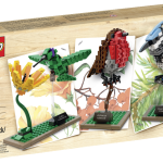 LEGO Birds 21301 LEGO Ideas 2015 Set Released!