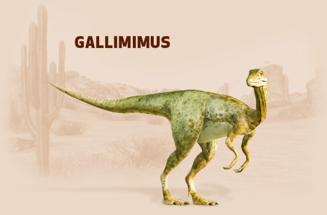 Gallimimus Dinosaur Image