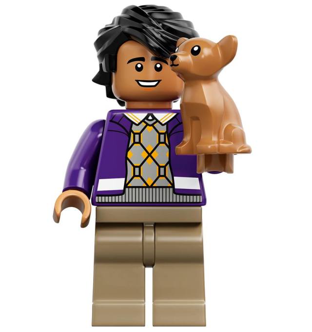 LEGO Raj Minifigure The Big Bang Theory